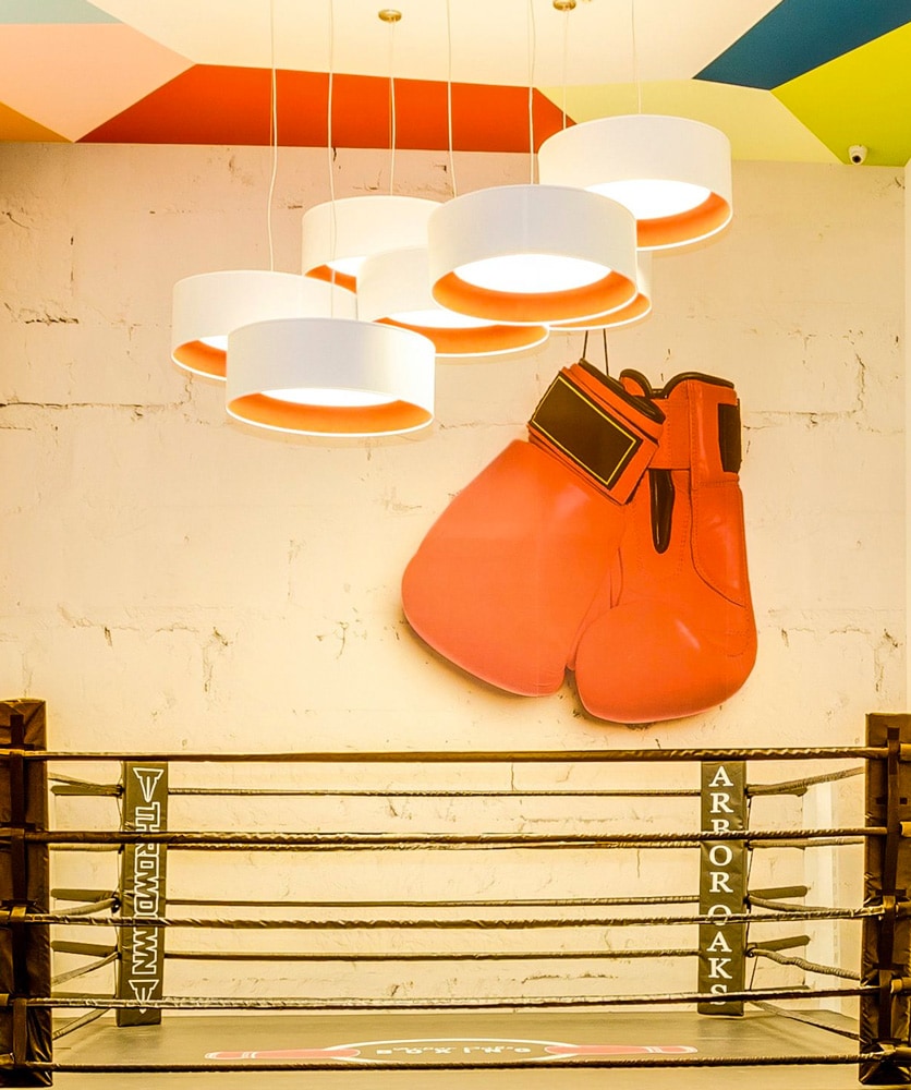 Boxing ring designed by Annette Jaffe Interiors in Arbor Oaks apartment