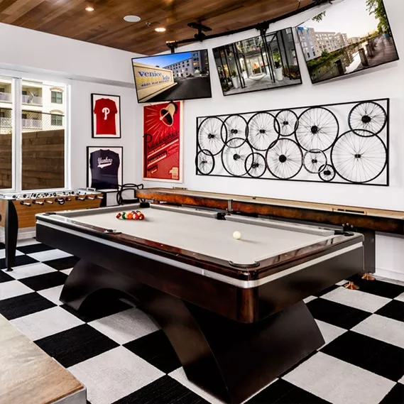 Venice Lofts interior design by Annette Jaffe Interiors